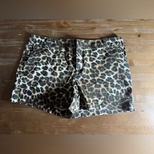 New York & Company Leopard Print Women's Cargo Shorts